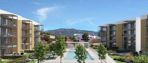 Palmanova Wohnungen, Palmanova Wohnung kaufen