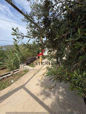 WhatsApp Image 2025-05-11 at 11.23.45-14.jpeg