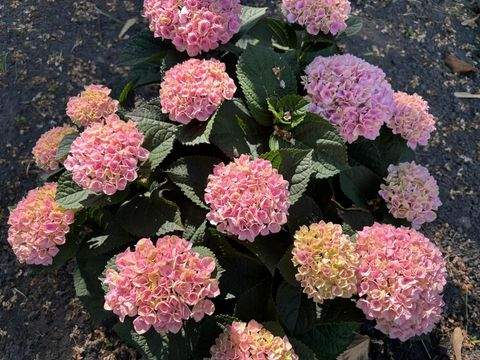 Gelsenkirchen Wohnungen, Gelsenkirchen Wohnung mieten