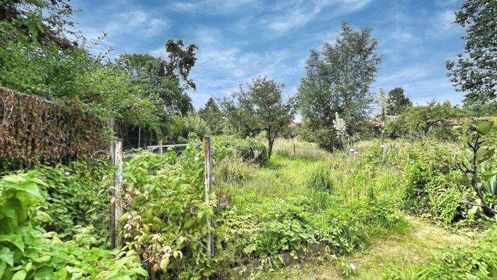 Gartengrundstück