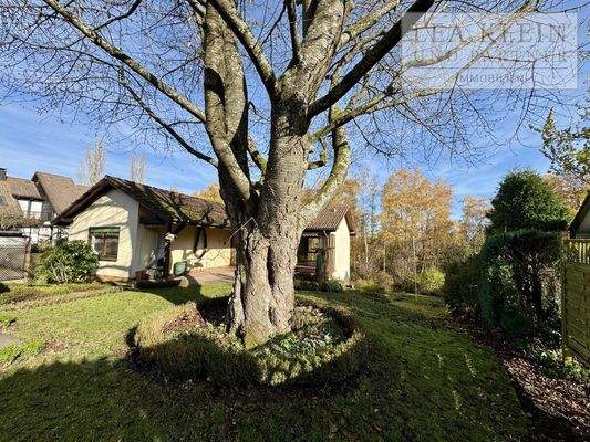 viel Platz im Garten 