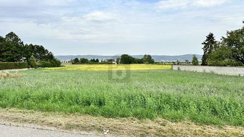 Trausdorf an der Wulka Grundstücke, Trausdorf an der Wulka Grundstück kaufen