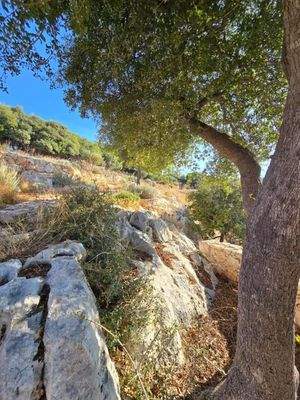 Kreta, Vamos: Erstklassiges Grundstück zum Verkauf in Vamos – Bereit zur Bebauung