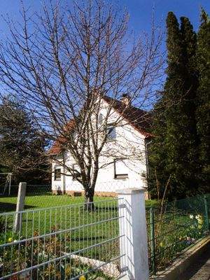 Blick ins Grundstück