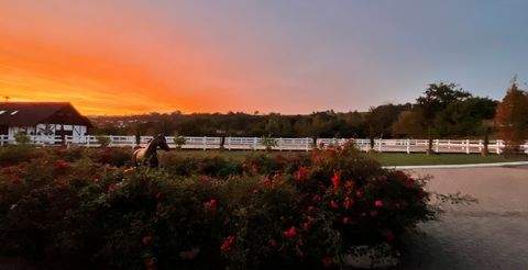 Binau Renditeobjekte, Mehrfamilienhäuser, Geschäftshäuser, Kapitalanlage