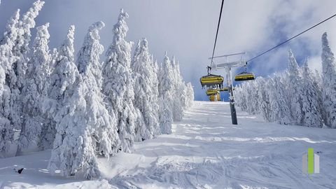 Schladming Renditeobjekte, Mehrfamilienhäuser, Geschäftshäuser, Kapitalanlage