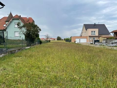 Rountzenheim-Auenheim Grundstücke, Rountzenheim-Auenheim Grundstück kaufen