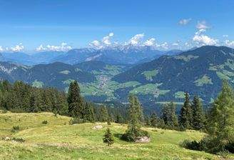 symbolfoto wildschönau