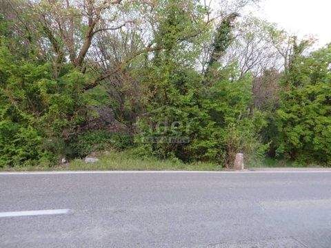 Kostrena Bauernhöfe, Landwirtschaft, Kostrena Forstwirtschaft