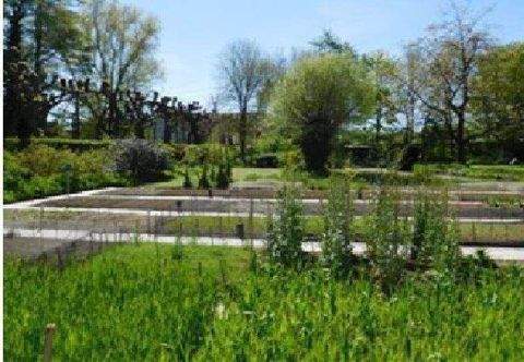 Berlin Grundstücke, Berlin Grundstück kaufen