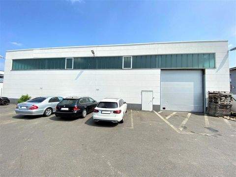 Neuss Halle, Neuss Hallenfläche