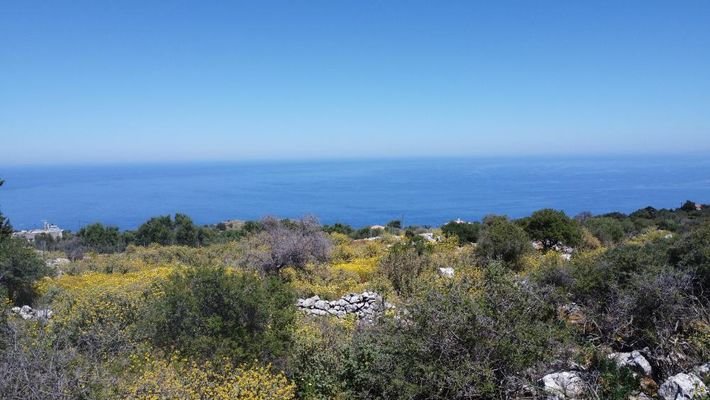 Kreta, Kefalas Chania: Großes Grundstück mit unverbautem Meer- und Bergblick zu verkaufen