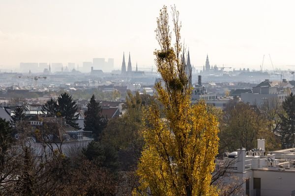 Ausblick auf den ersten Bezirk mit Blick auf die Votivkirche