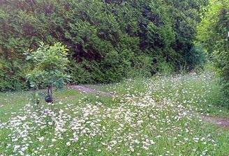 Referenzbild Baugrundstück 