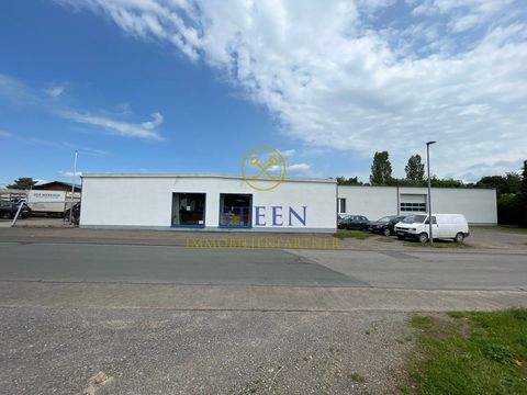 Korbach / VB Halle, Korbach / VB Hallenfläche