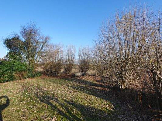 Gartenbereich Eingang