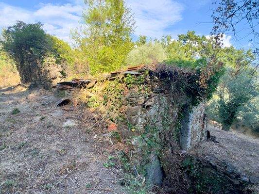 DA1046_07 TERRA ITALIA IMMOBILIEN_REAL ESTATE_FOR 