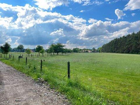Schwarmstedt Bauernhöfe, Landwirtschaft, Schwarmstedt Forstwirtschaft