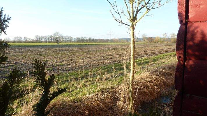 Blick unverbaubar nach hinten