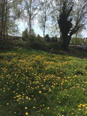 Grundstücksservice für Baufamilien