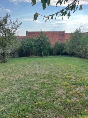 Wiesengrundstück.jpg
