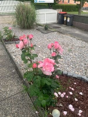 Bild 17