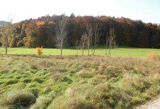 Grundstück in Großgmain Immobilienkanzlei Kurz Salzburg