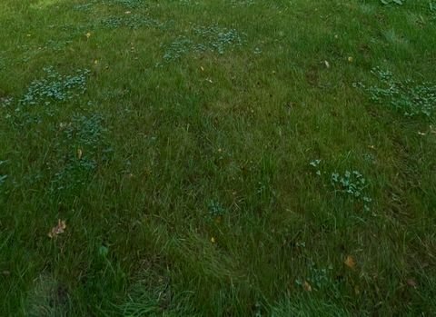 Bad Suderode Renditeobjekte, Mehrfamilienhäuser, Geschäftshäuser, Kapitalanlage