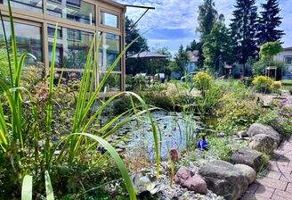 Außenansicht - Teich