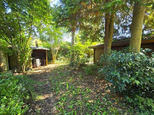 Garten und Gartenhäuschen