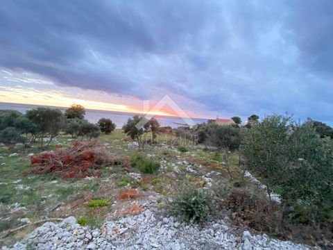 Zadar Bauernhöfe, Landwirtschaft, Zadar Forstwirtschaft