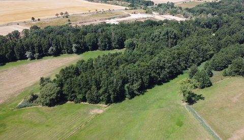 Jesewitz Bauernhöfe, Landwirtschaft, Jesewitz Forstwirtschaft