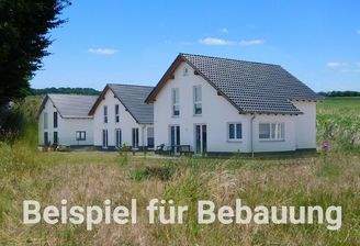 Beispiel_fuer_Bebauung