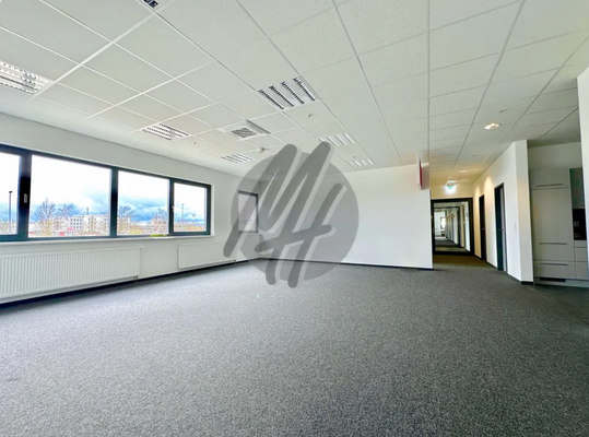 INFOS UNTER: 06171-586000