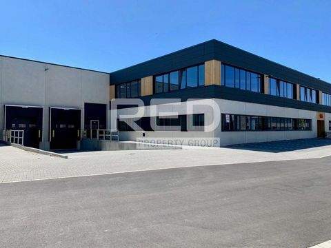 Düsseldorf Halle, Düsseldorf Hallenfläche