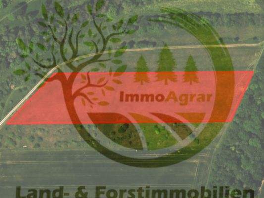 ImmoAgrar_Equarhofen_01.JPG