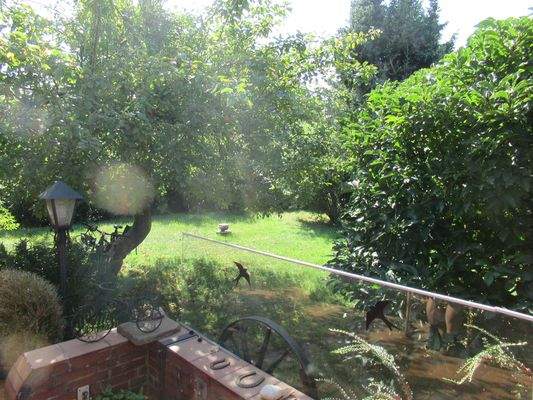 eingewachsenes Grundstück