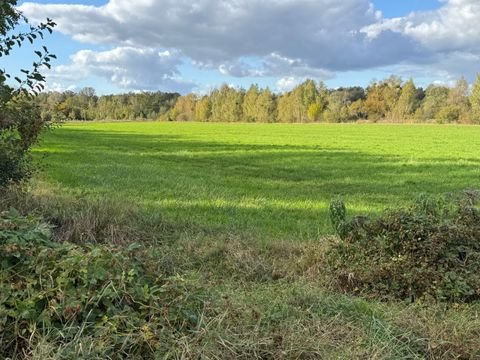 Dallgow-Döberitz Grundstücke, Dallgow-Döberitz Grundstück kaufen