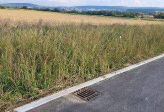 Grundstück