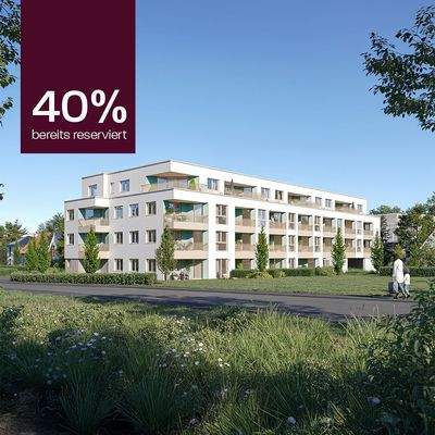 Horizont40%2 - Kopie.jpg