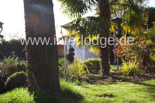 Villa Rosa aussen Palmen
