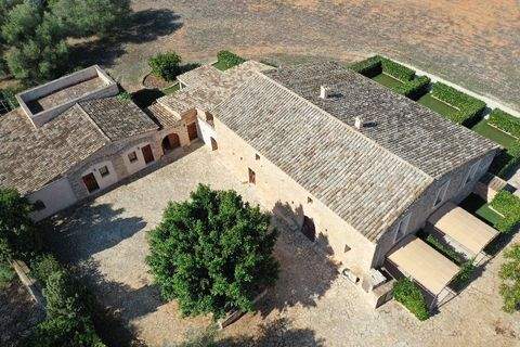 Llucmajor Gastronomie, Pacht, Gaststätten