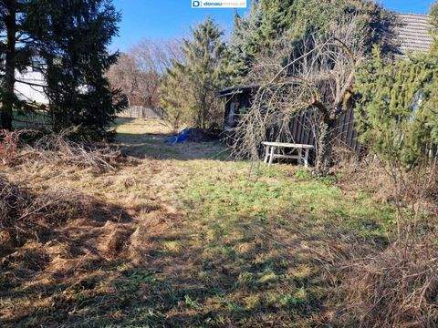 Föhrenau Grundstücke, Föhrenau Grundstück kaufen