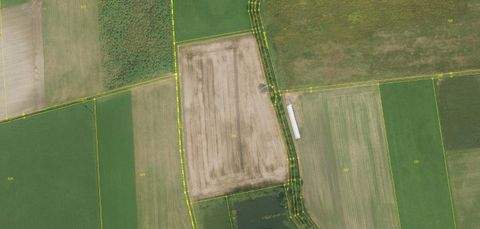 Karlskron Bauernhöfe, Landwirtschaft, Karlskron Forstwirtschaft