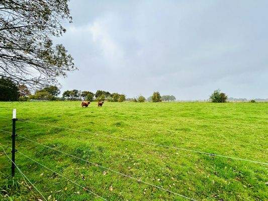 Weide / ldw. Fläche