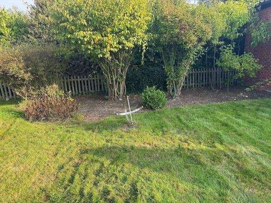 ....Gartenimpression