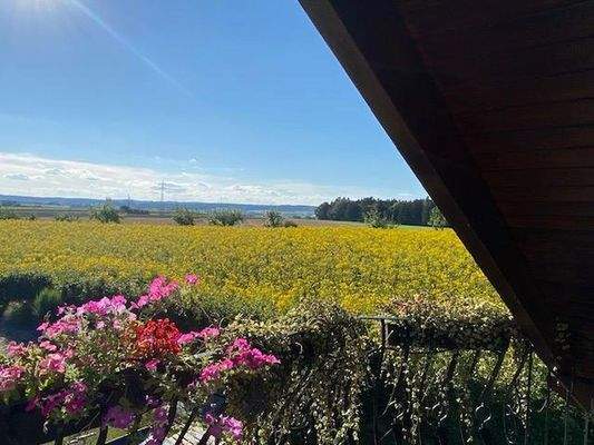 Ausblick Hinten 2e Stock