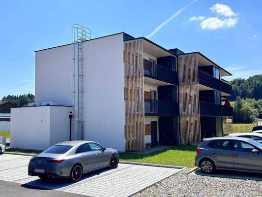 WhatsApp Image 2024-07-29 at 12.18.57 (7).jpeg