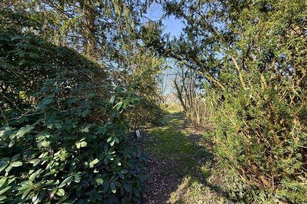 Zugang hinterer Gartenbereich