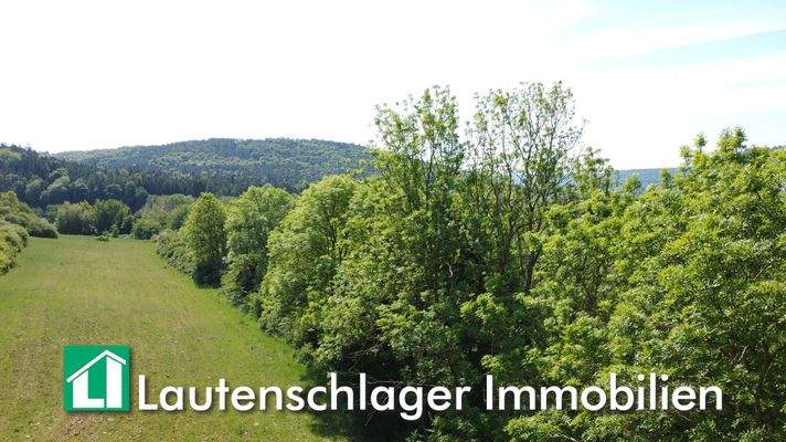 Naturgewachsene Fläche